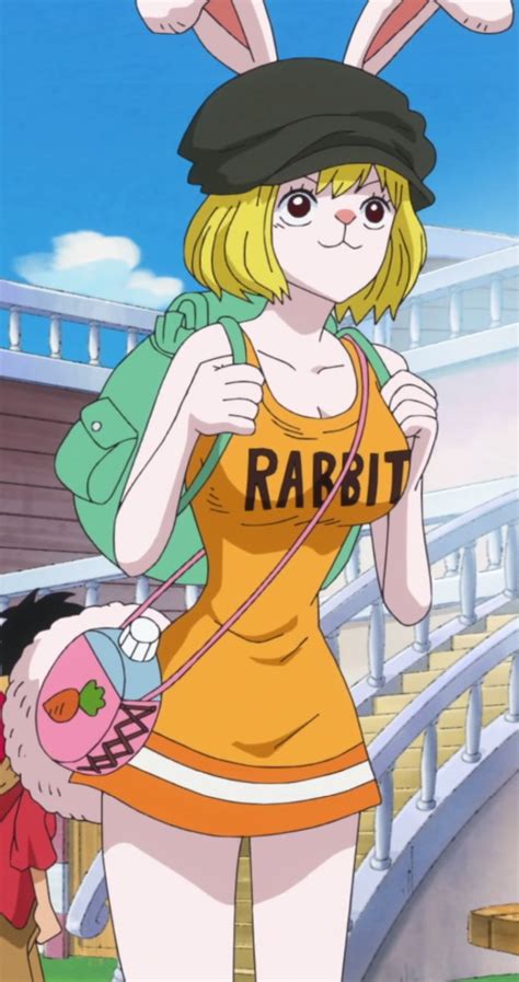 carrot sex one piece|carrot (one piece)